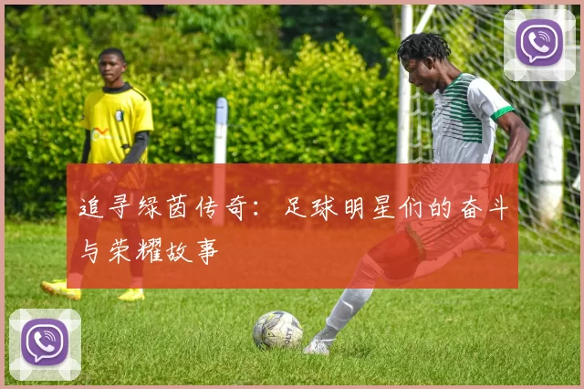 追寻绿茵传奇：足球明星们的奋斗与荣耀故事